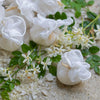 Jasmine of Arabia Soothing Bath Salts